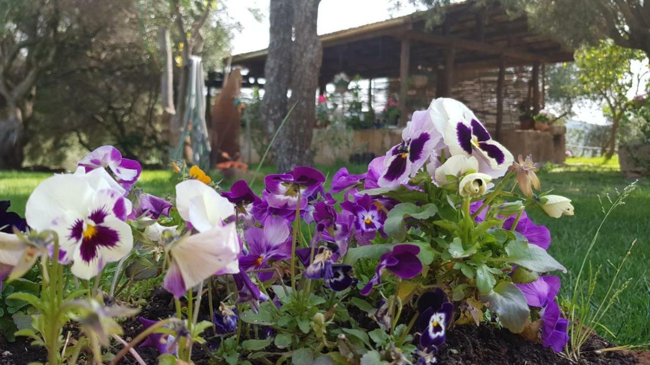 Agriturismo Sa E Padedda Mores エクステリア 写真